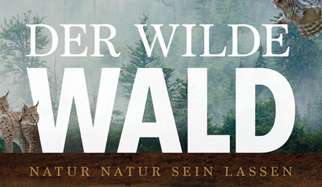 Film: Der wilde Wald